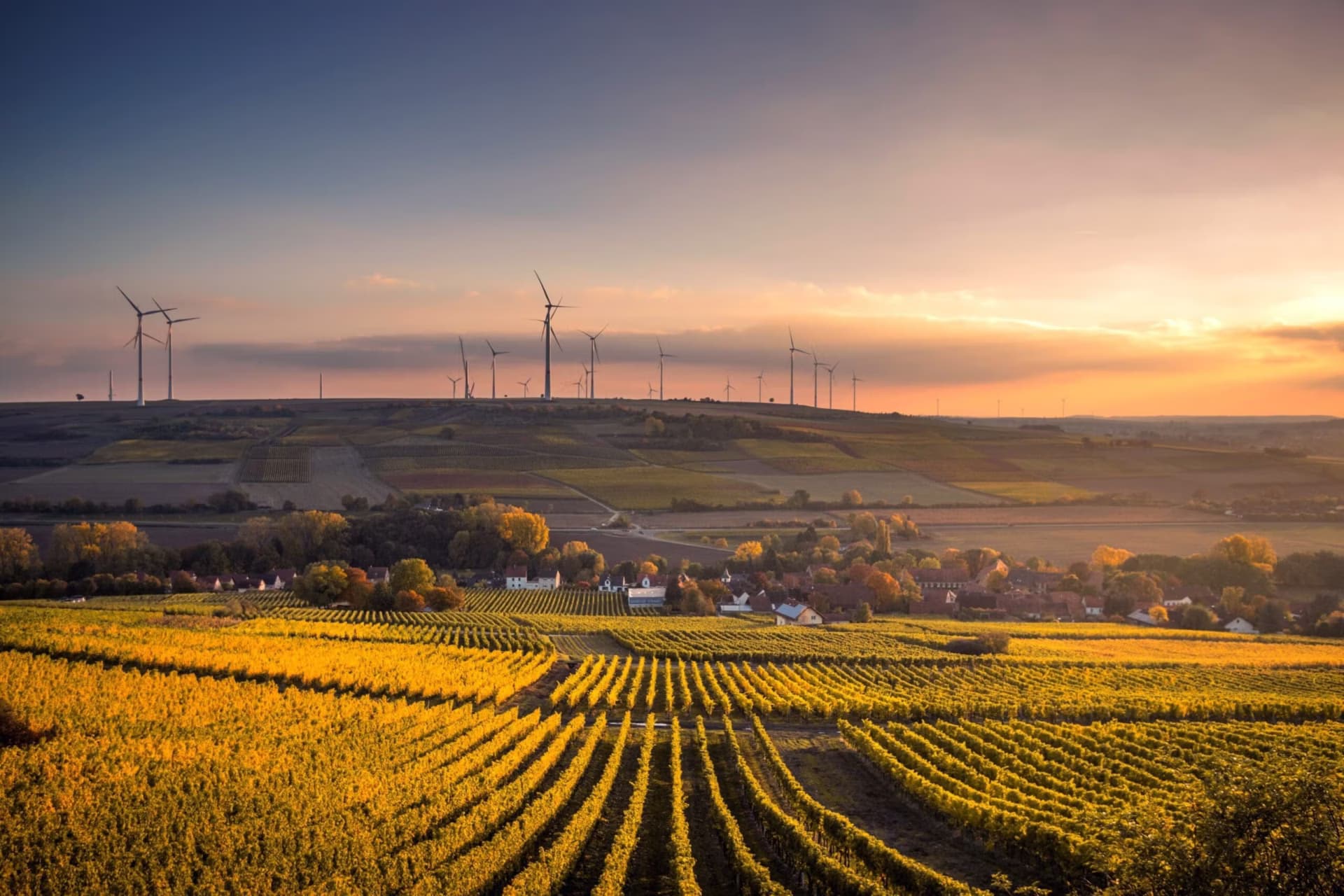 AgriFood Signals: Trump tariffs on Canada, McCormick + Unilever merger, Coca-Cola’s Fairlife hacked