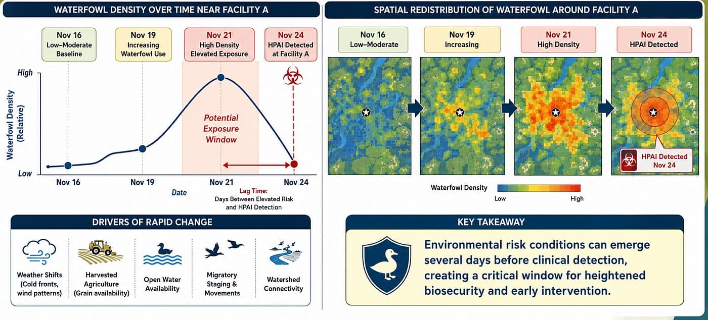 Can smarter surveillance help poultry farms catch bird flu earlier?