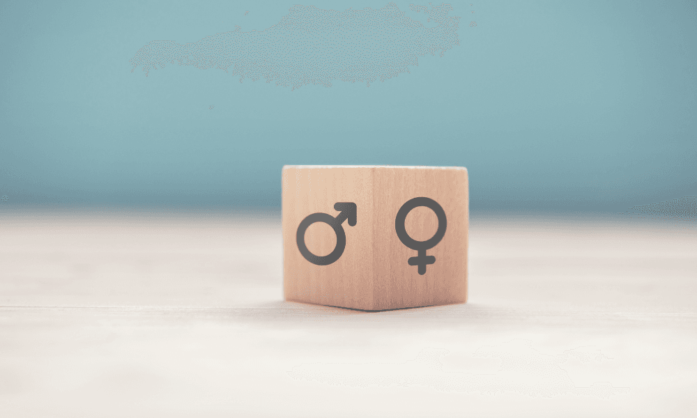 Parliament passes bill updating gender equality reporting duties