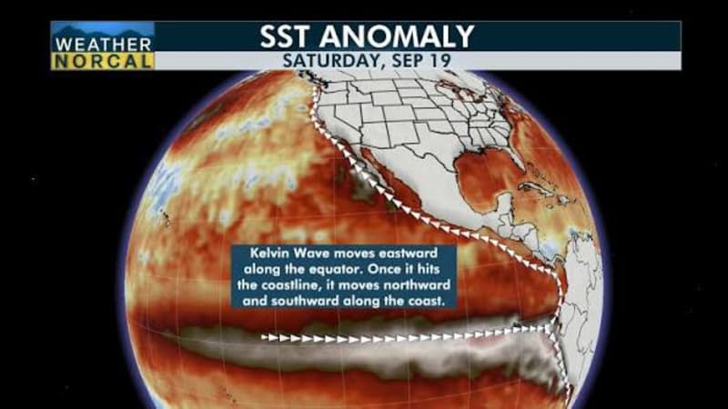 Kelvin Wave In Pacific Ocean Heads Toward California
