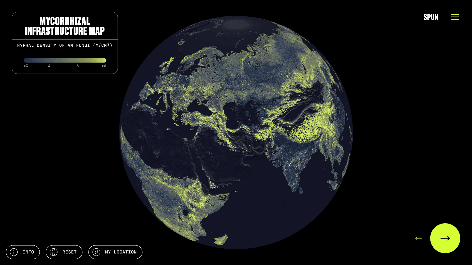 There’s a Global Network of Fungi Under Your Feet. This Is the First Complete Map
