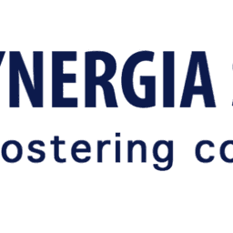 Synergia Summits Private Limited x2 logo
