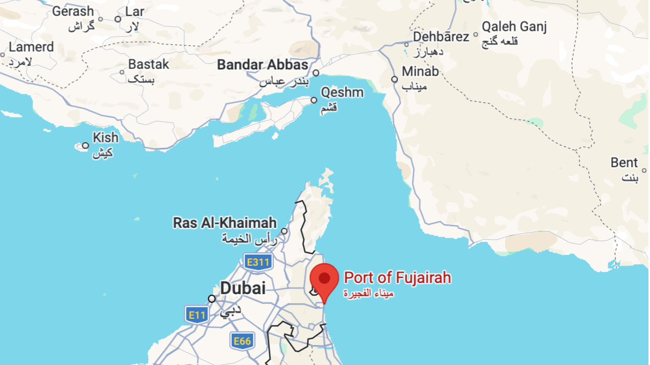 DP World plans UAE port, container terminal to bypass Strait of Hormuz: Report