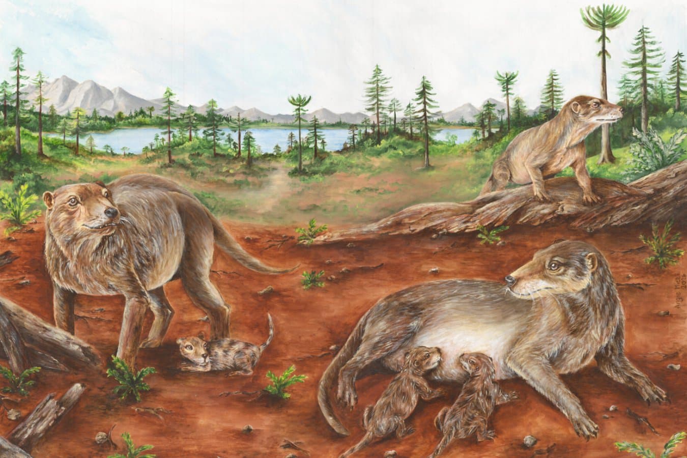 Mammal ancestors were giving birth to live young 236 million years ago
