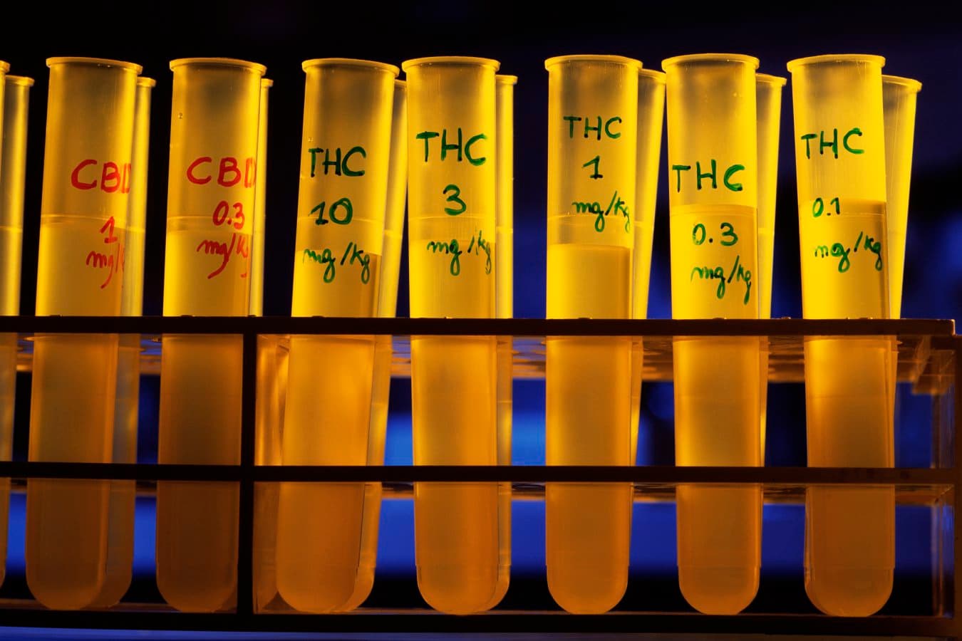 THC in cannabis may reduce nightmares in people with PTSD