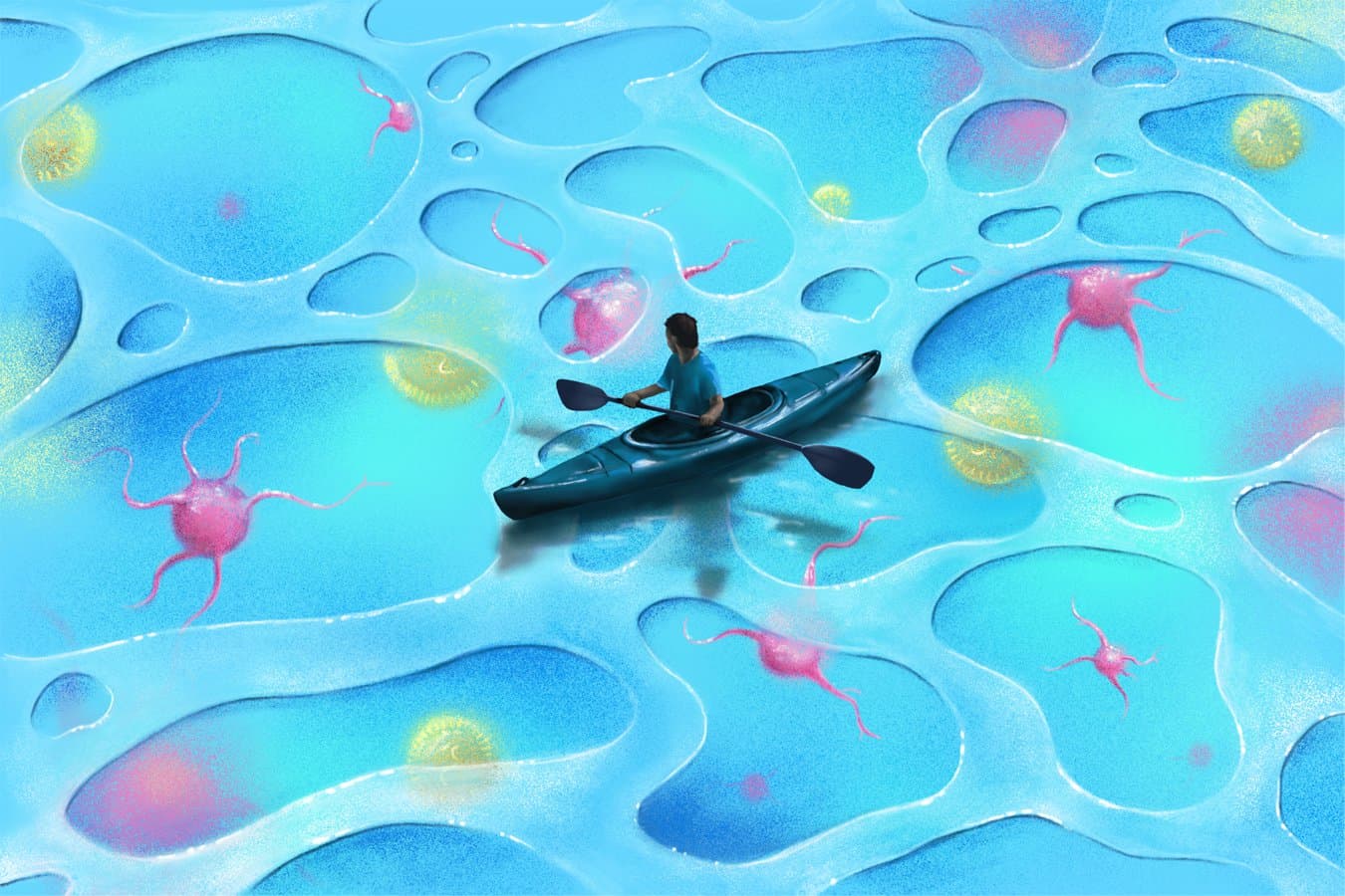 From back pain to cancer, how the interstitium could transform medicine