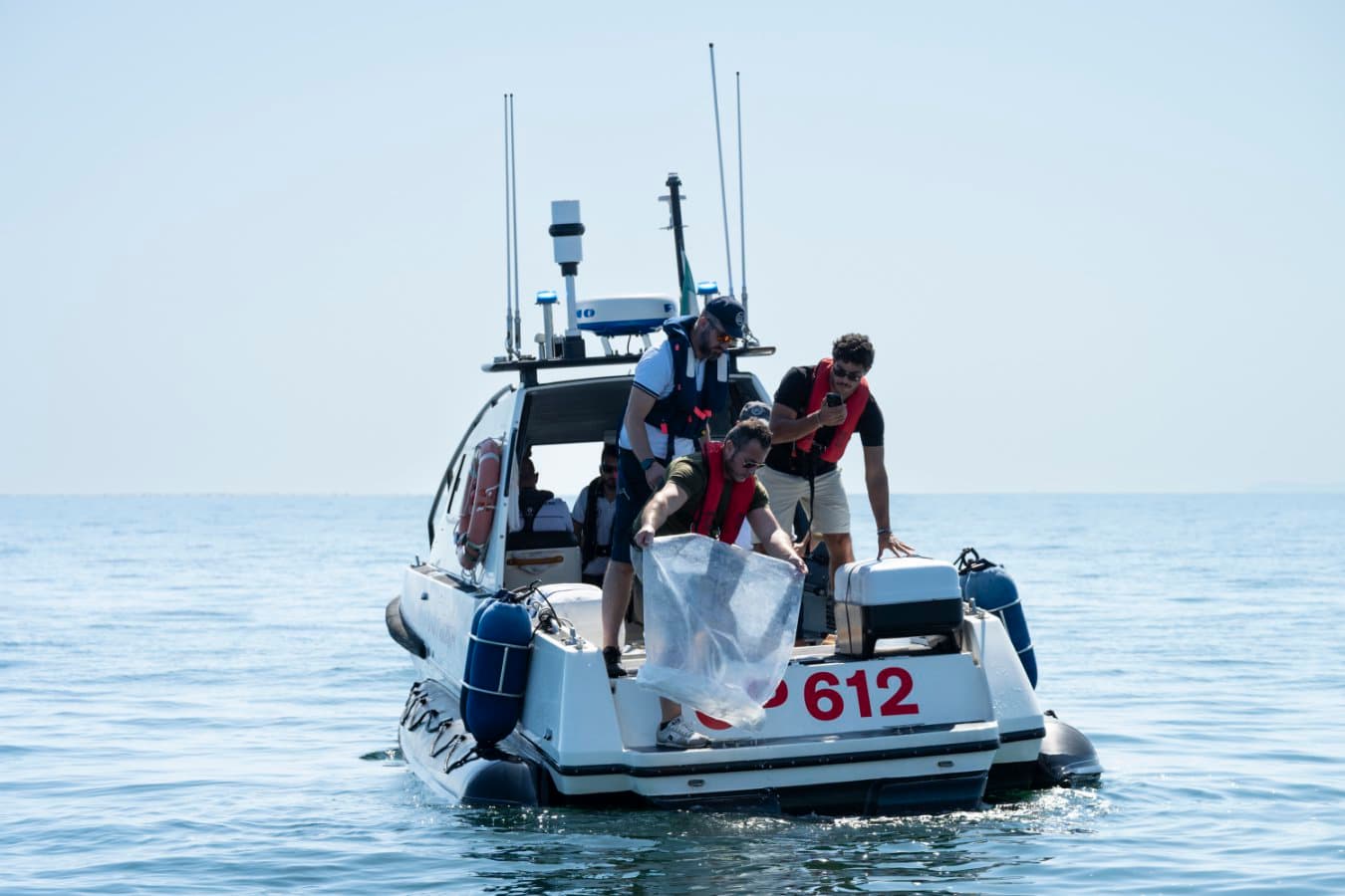 Octopuses released into Adriatic Sea to tackle invasive crabs