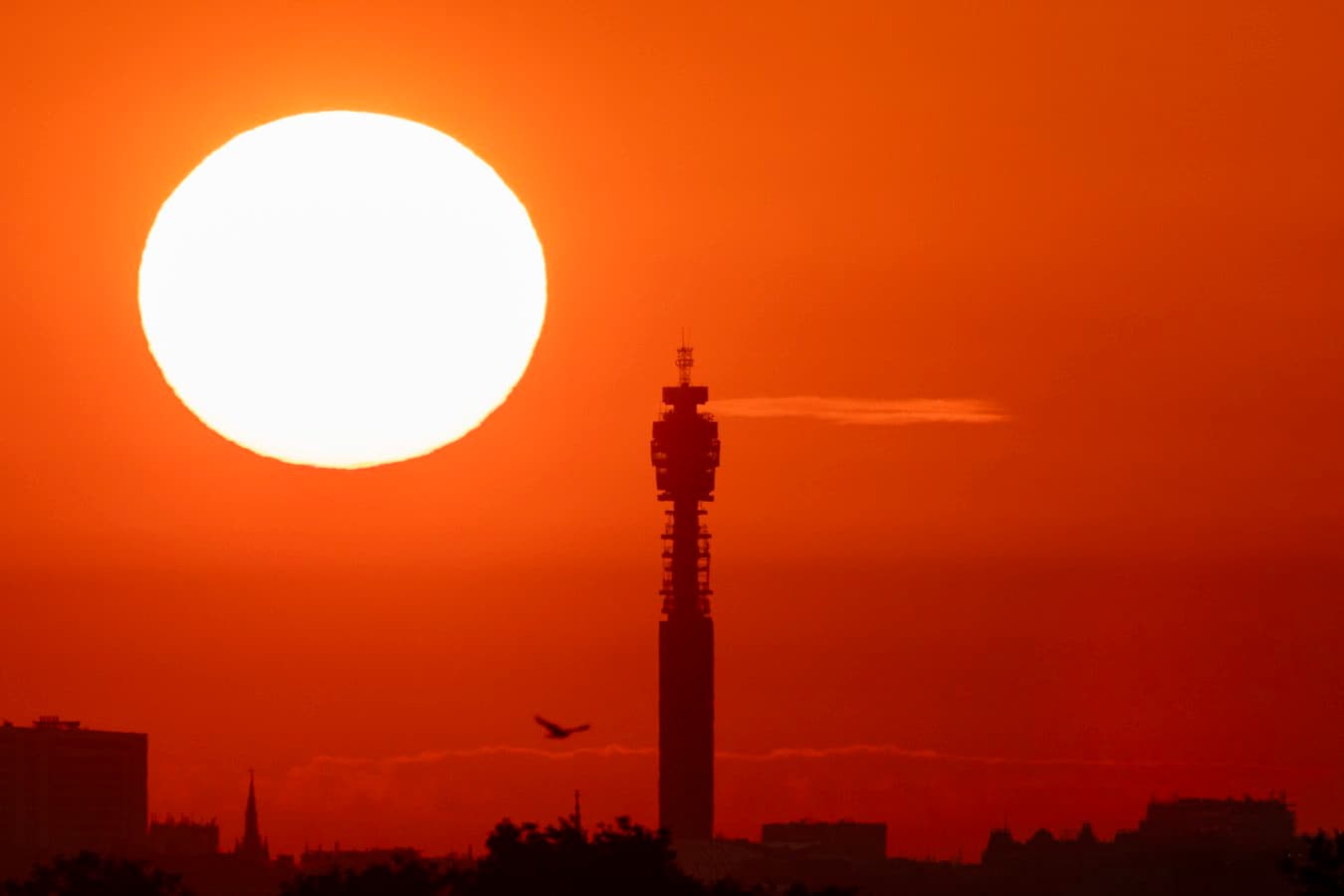 The UK just had its hottest summer ever