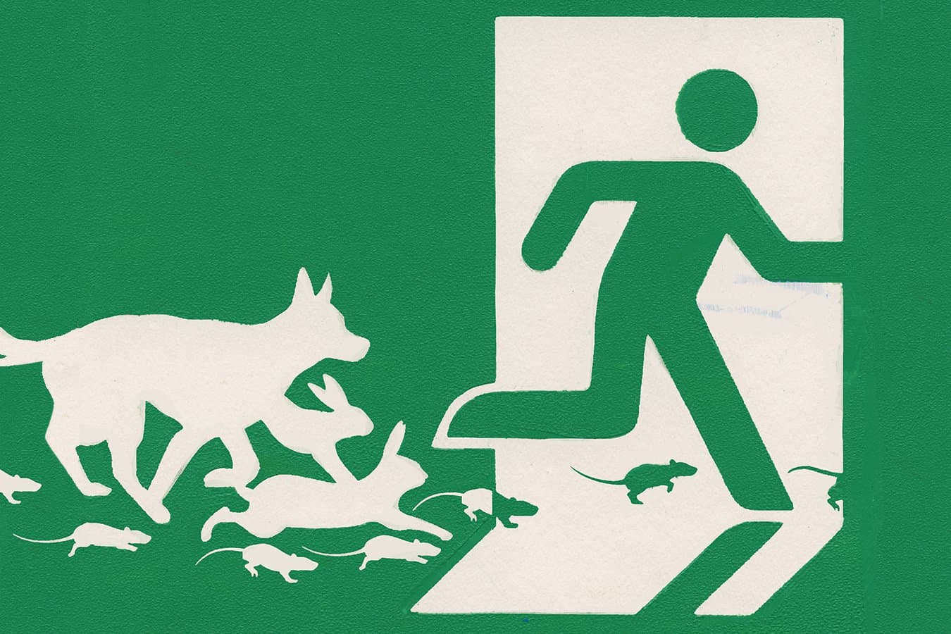 How better ways of screening drugs could soon lead to thousands fewer animal tests