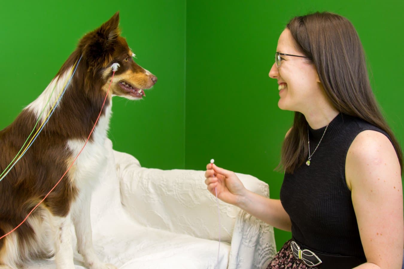 Dogs pay more attention to consonants than vowels when we speak
