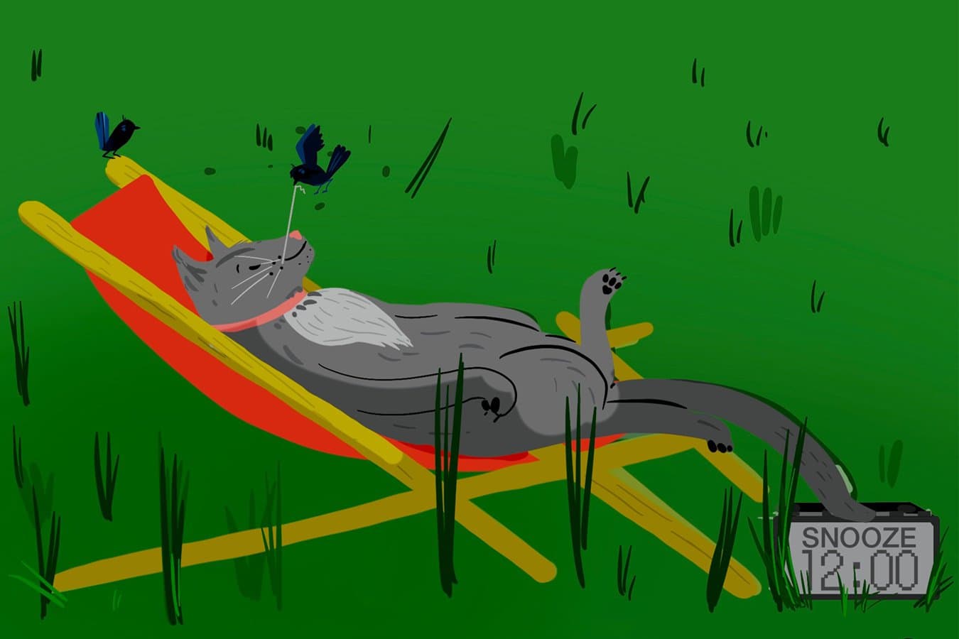 Researcher finds that cats lie around for a ridiculous amount of time