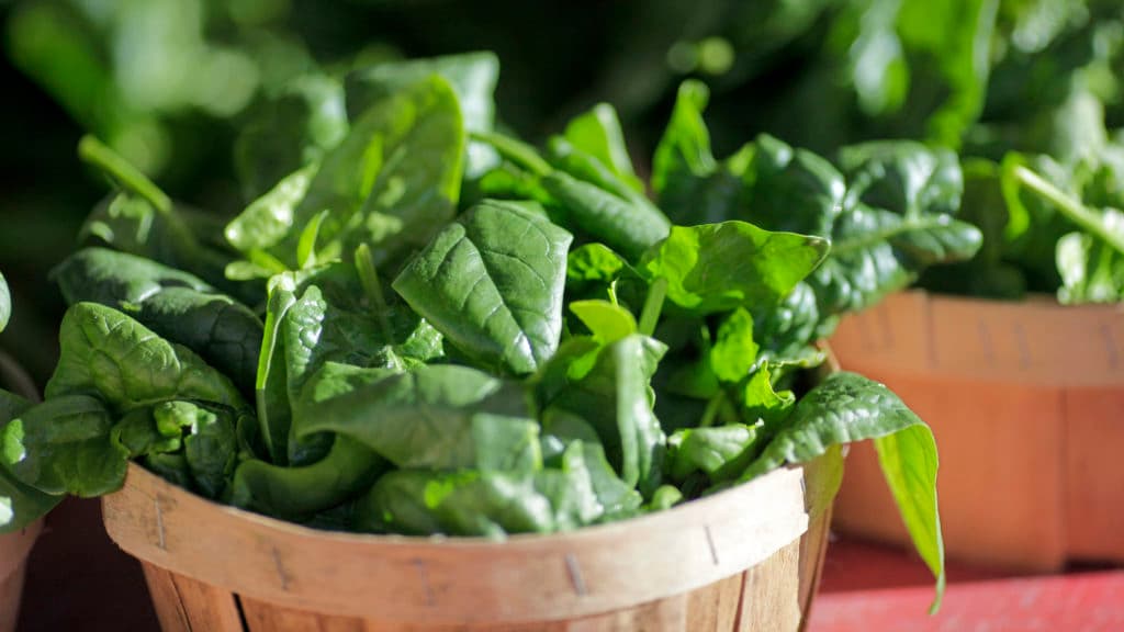 STAT+: FDA takes another look at botanical drugs