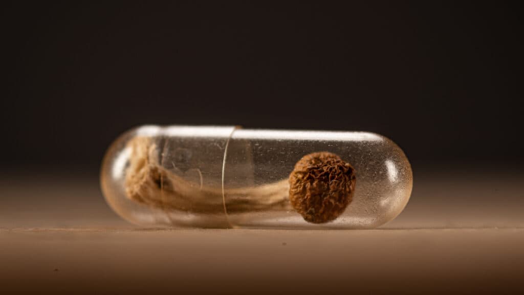 STAT+: Compass says depression drug has long-lasting benefits