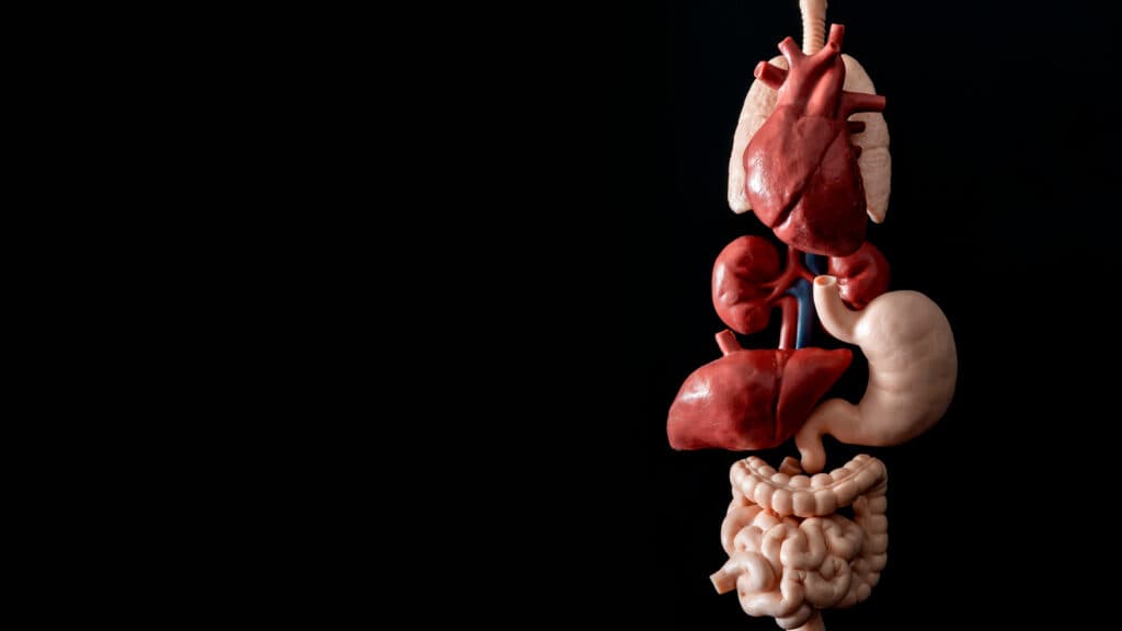 STAT+: Key data on a new class of cardio drugs are coming