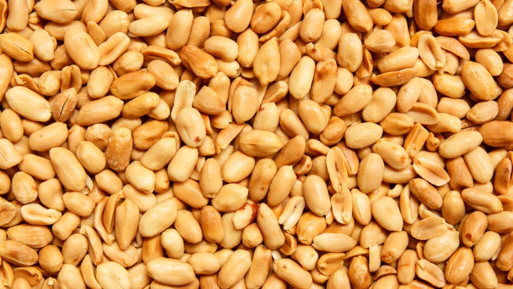 STAT+: Could poop pills be the next treatment for food allergies?