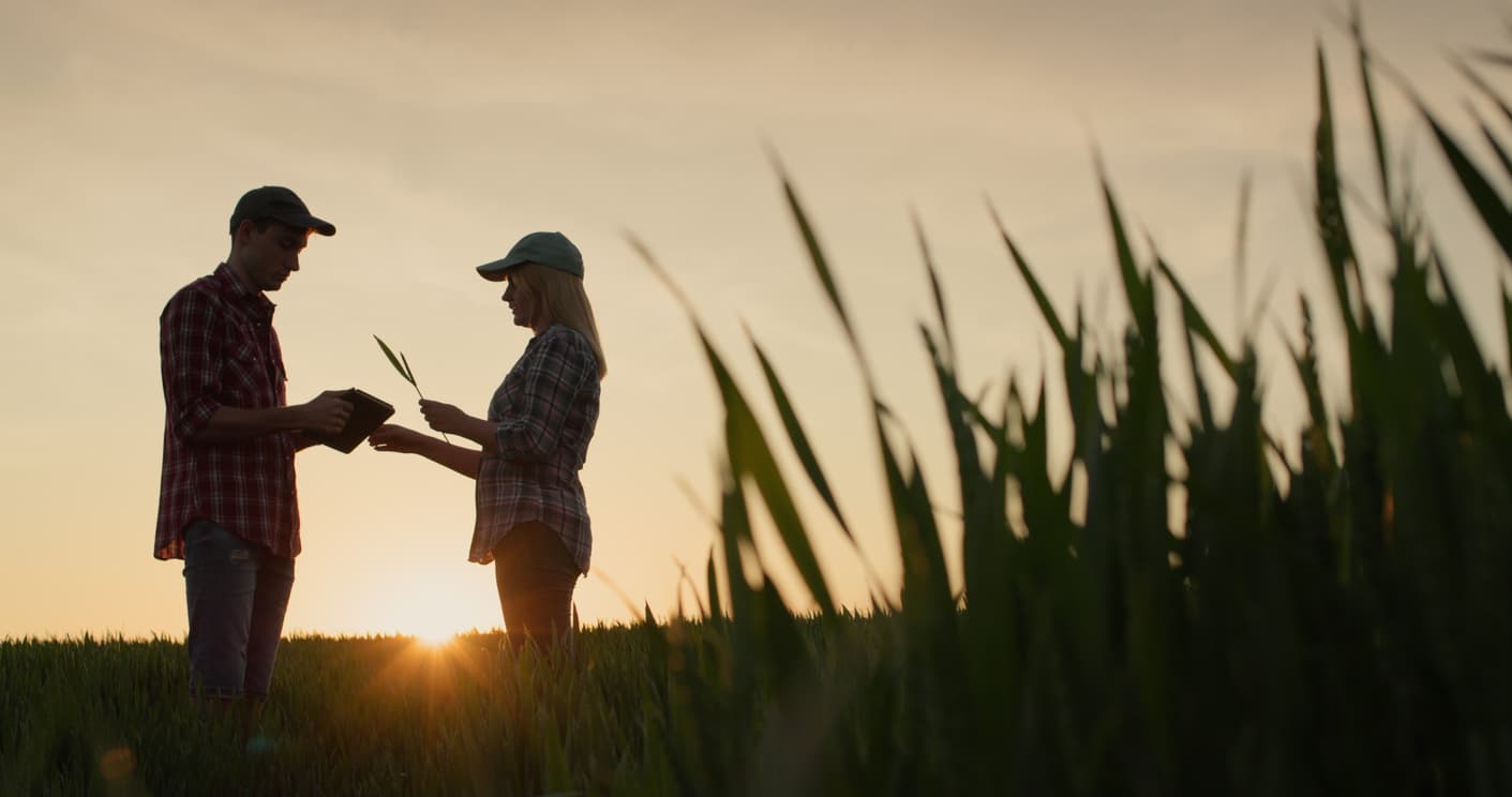 Builders VC and others back SweetAg’s bid to modernize the agricultural lending process