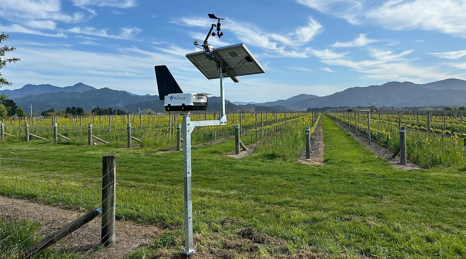 BioScout raises $4.8m for early warning system for fungal pathogens