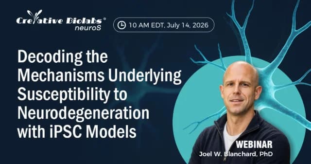 Decoding the Mechanisms Underlying Susceptibility to Neurodegeneration with iPSC-Derived Human logo