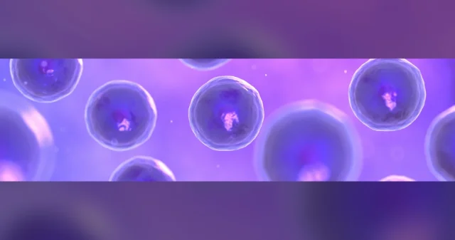 Improve Cell Line Stability From Cloning to GMP Manufacturing logo