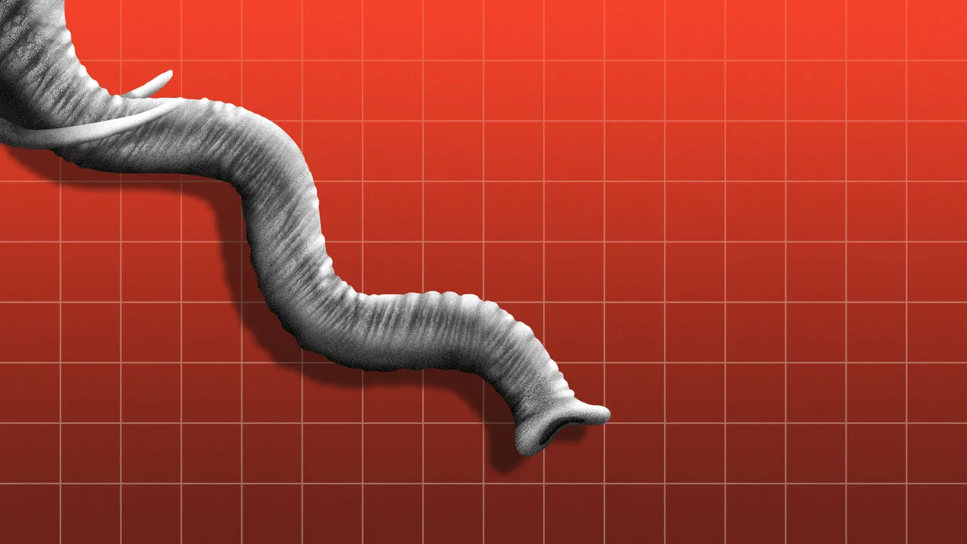 Republicans sour on the economy