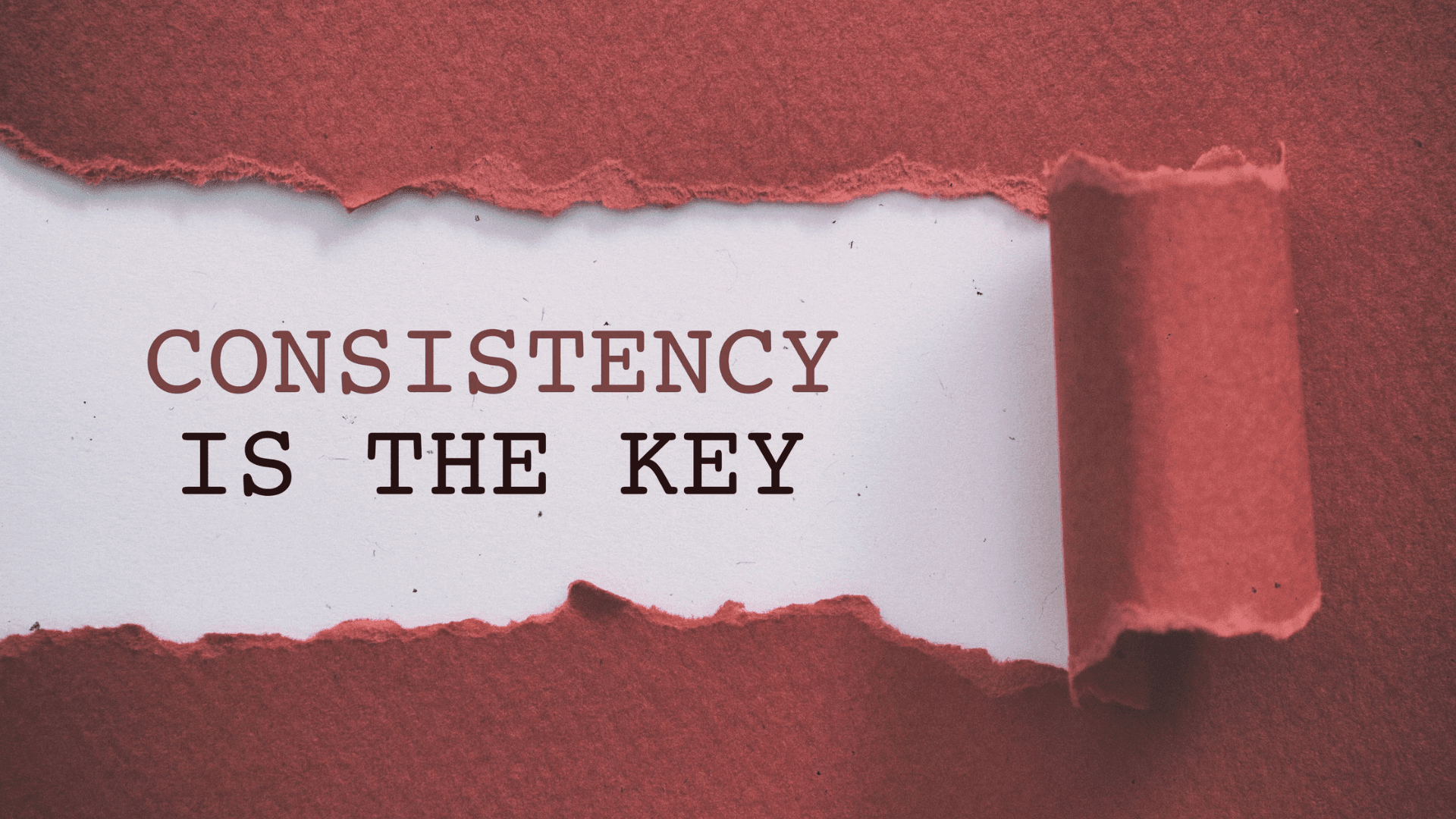 5 Books that help you become more consistent in life