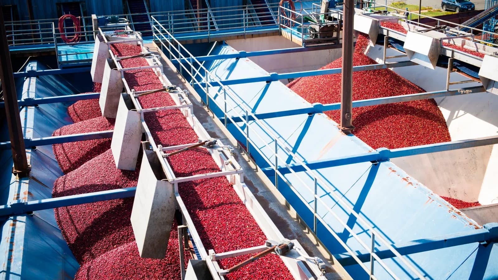 Ocean Spray names chief supply chain officer