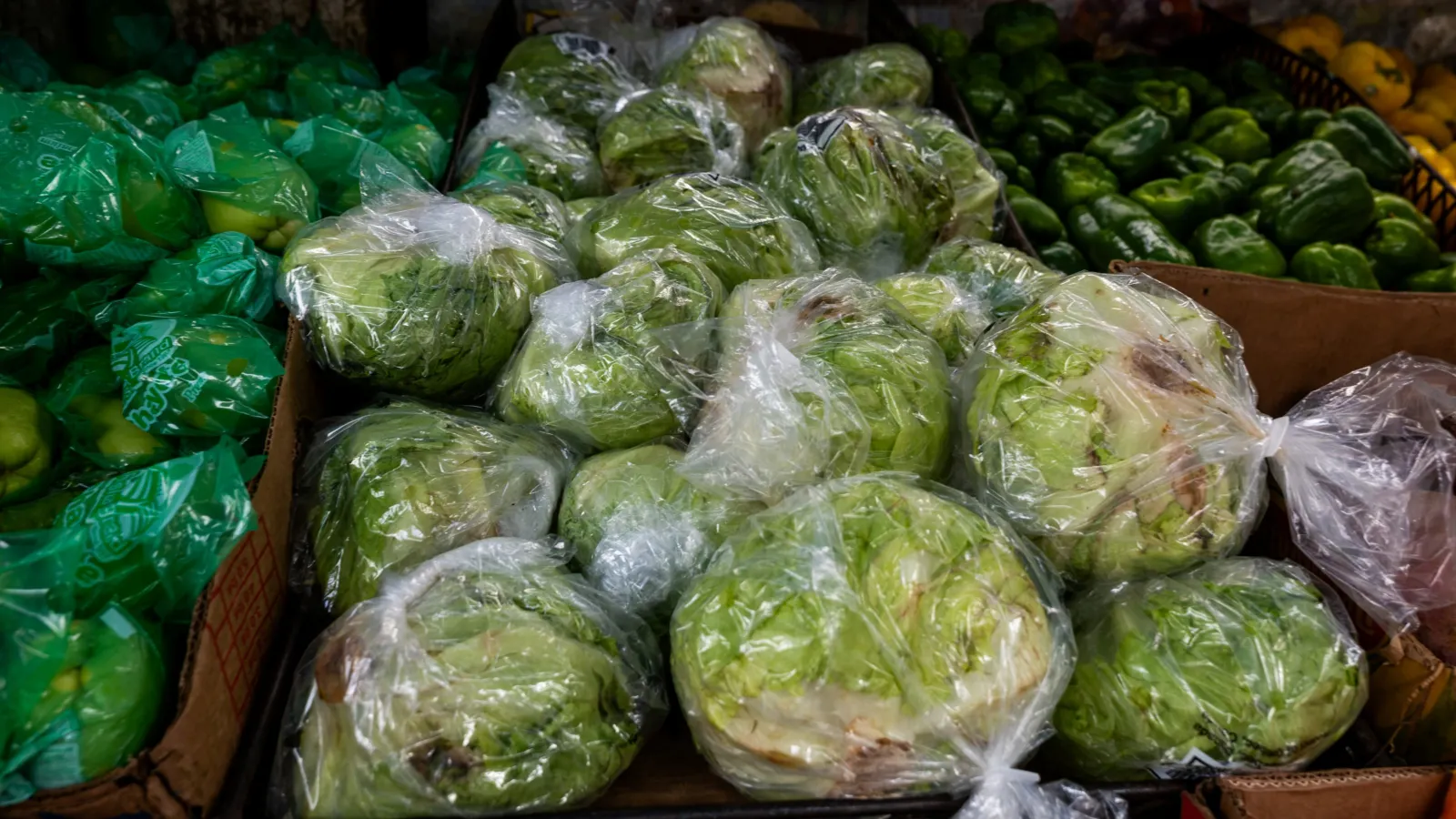 Feces in the food supply: What’s next after summer of Cyclospora