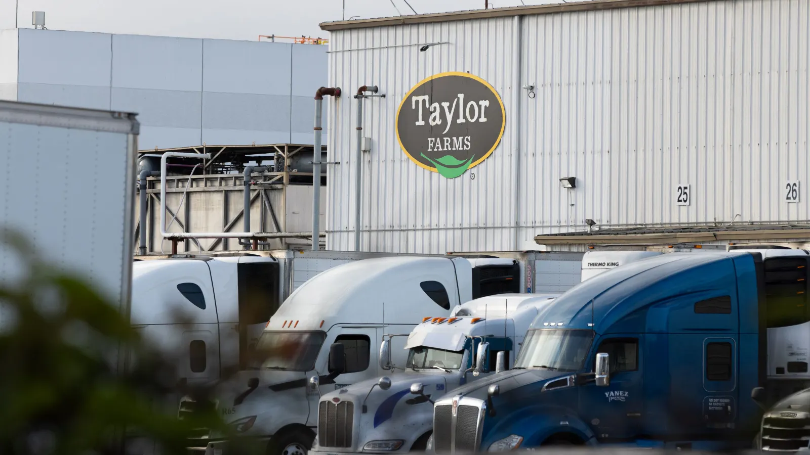 Taylor Farms lettuce didn’t contain parasite behind diarrhea outbreak, FDA says
