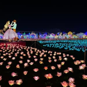 Imaginarium 360