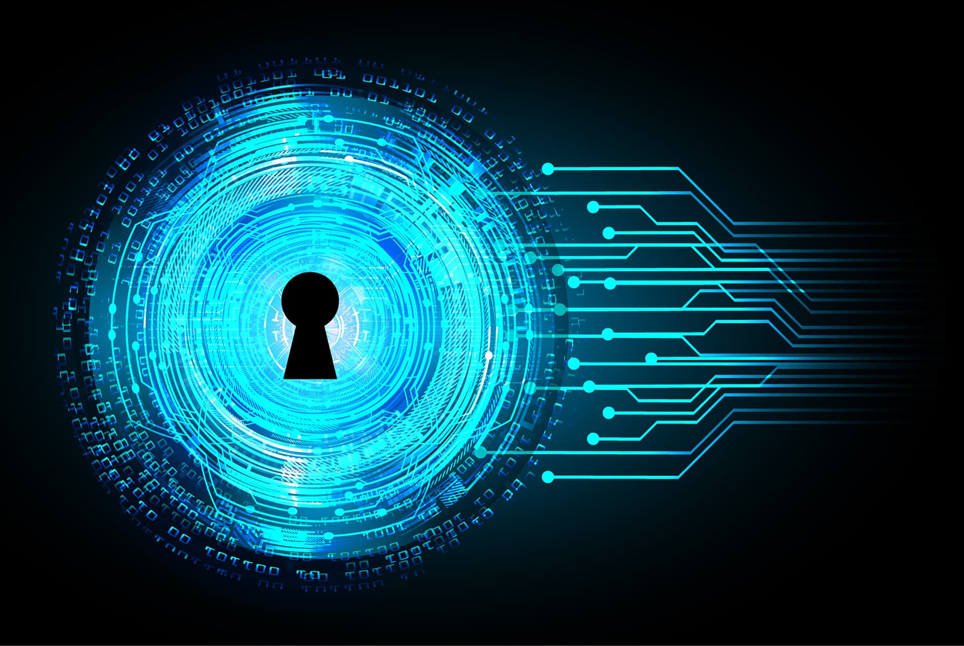 On-Chip Monitors Detect Bit-Flip Attacks in AI Accelerators (UF, UT Dallas, RPI)