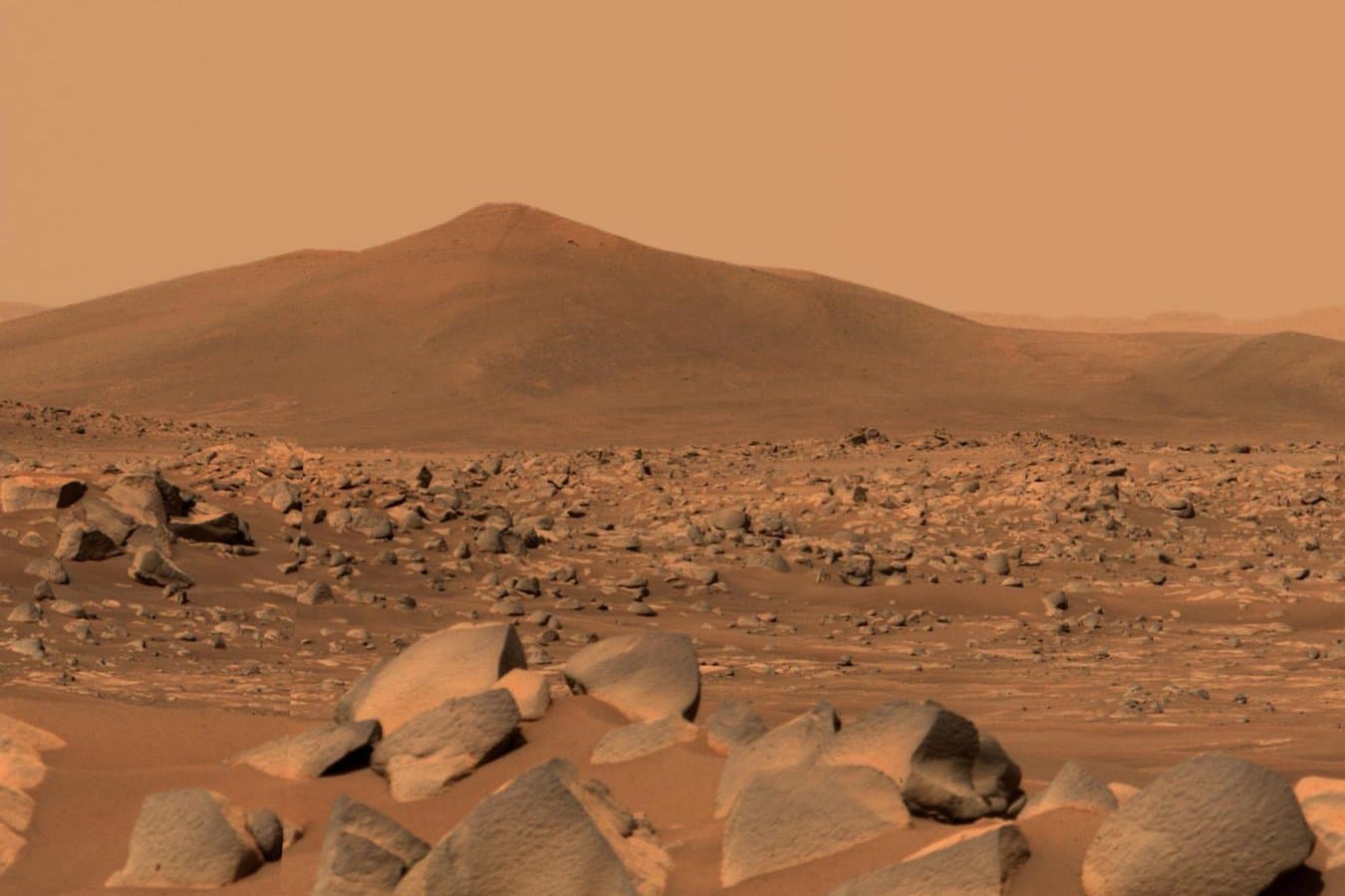 Earth extremophile can grow in near-Mars-like conditions