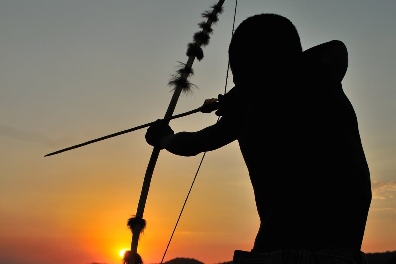 Did humans evolve to be active throughout the day and night?