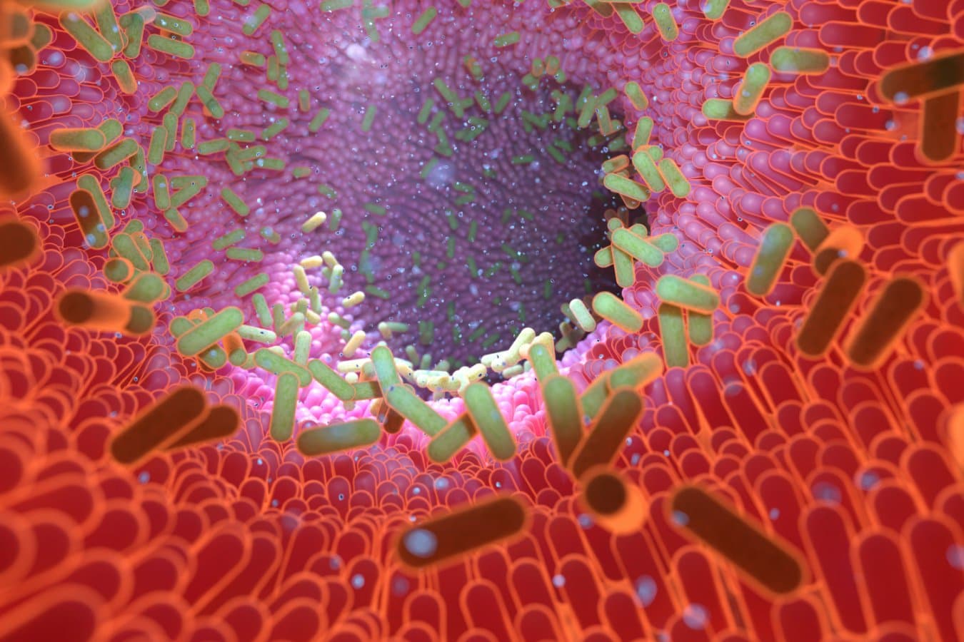 Postbiotic could reduce the risk of brain damage after a concussion