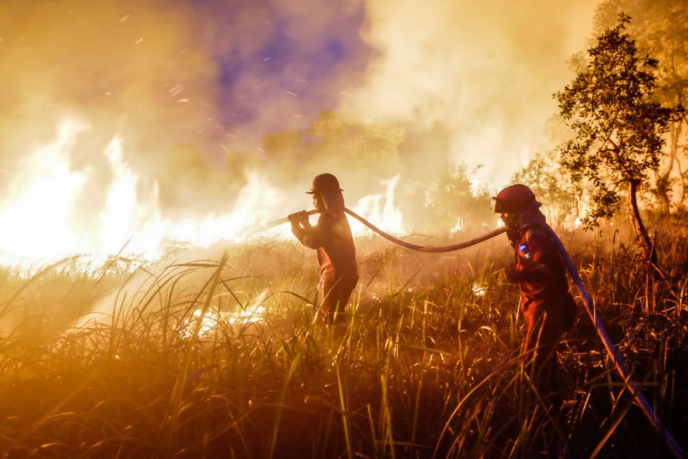 Super El Niño could lead to mega CO2 emissions from fires in Indonesia