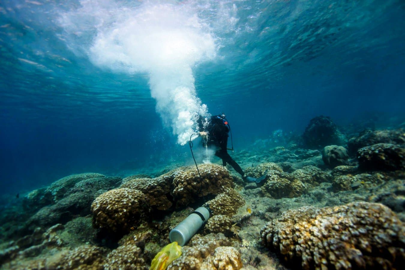 Galapagos corals suggest climate change drives stronger El Niños