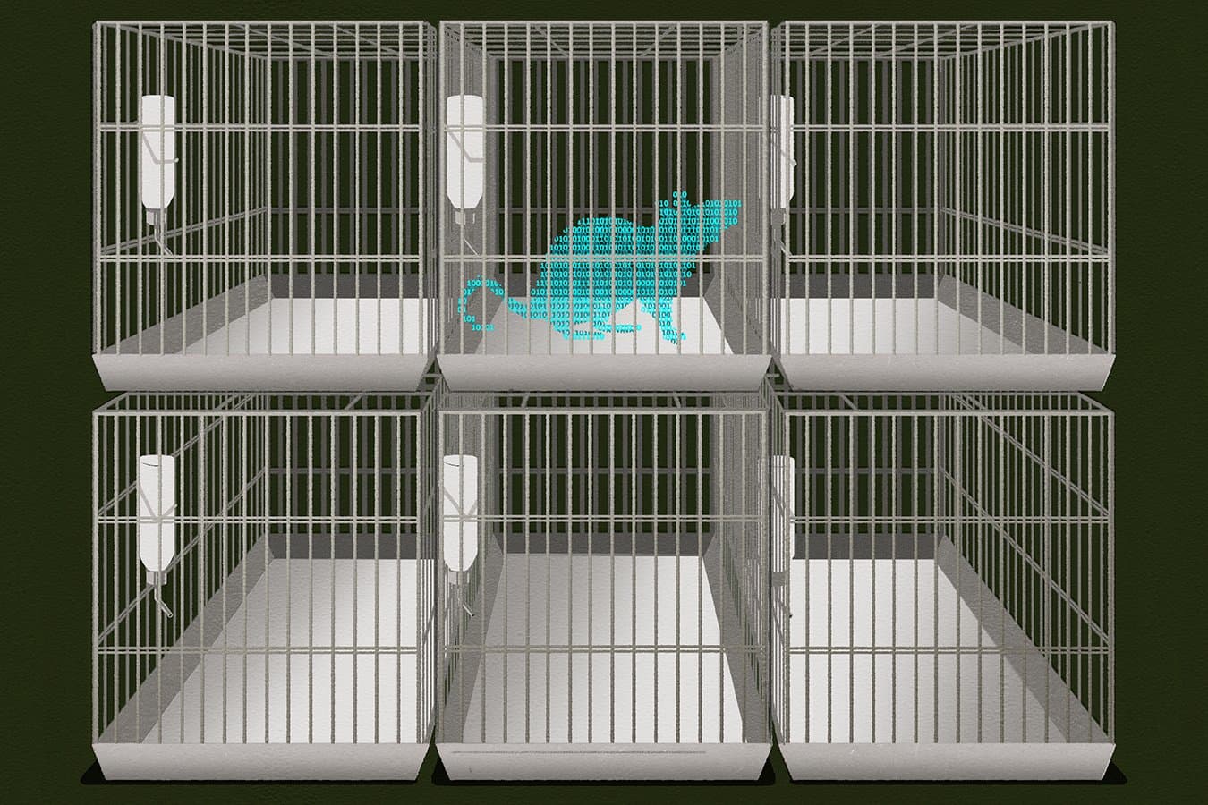 Why it is time to restate the case for the importance of research on animals