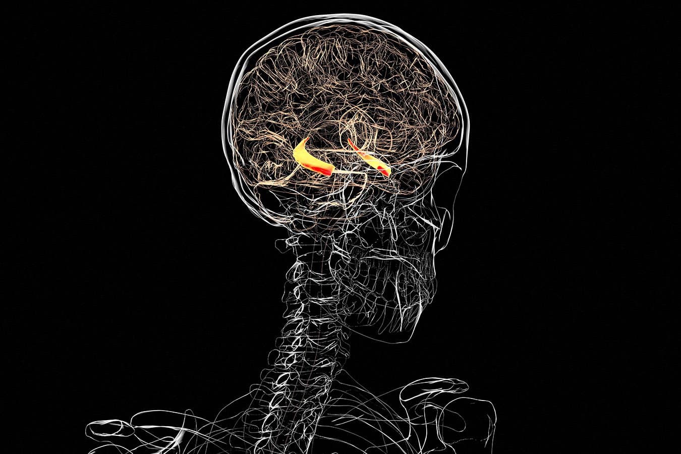 Zapping the face could boost brain signalling and memory