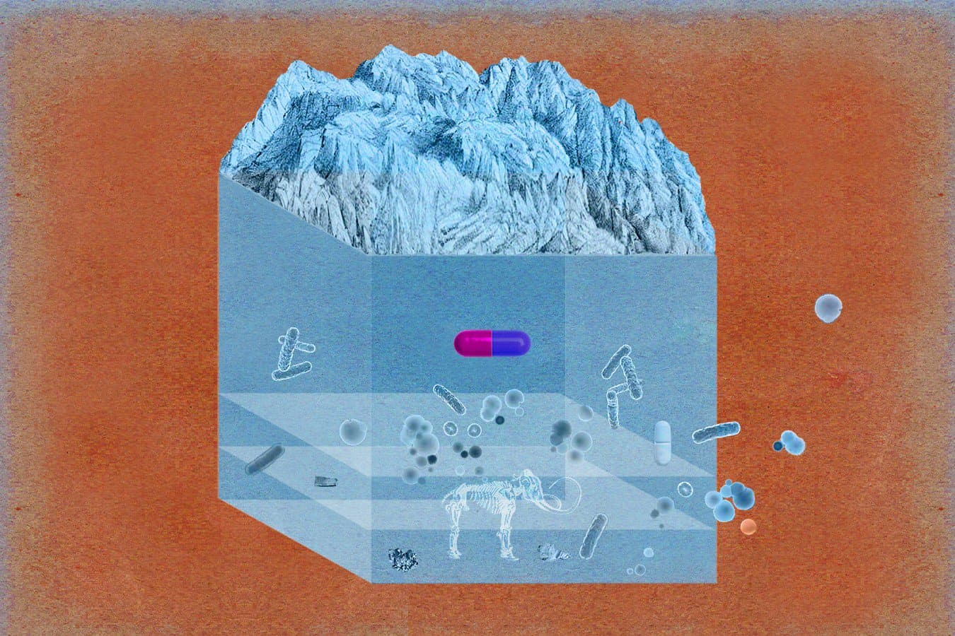 How ancient superbugs could help us fight antibiotic resistance