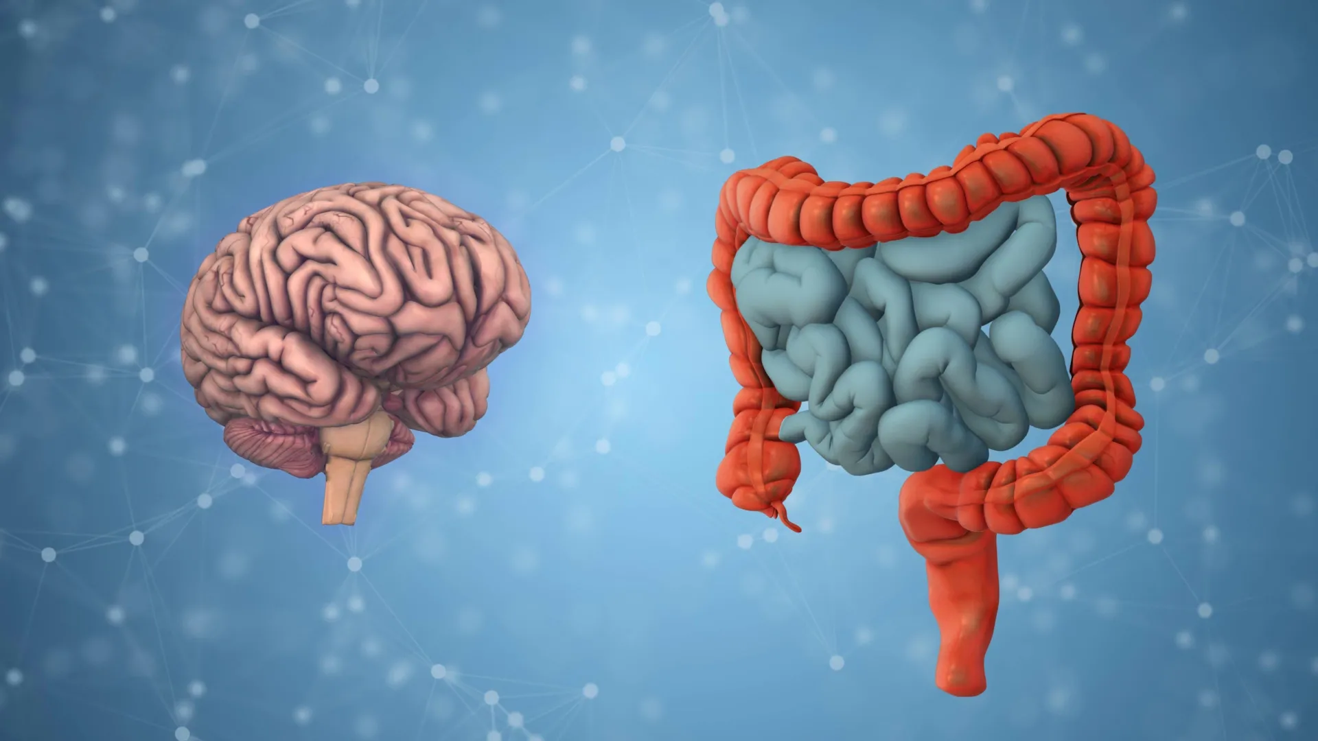 Your gut bacteria may reveal how fast your brain is aging