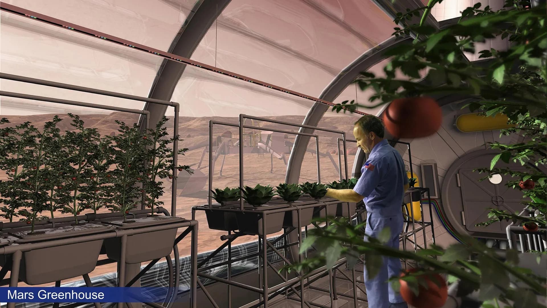 The secret to growing food on Mars could be fungi