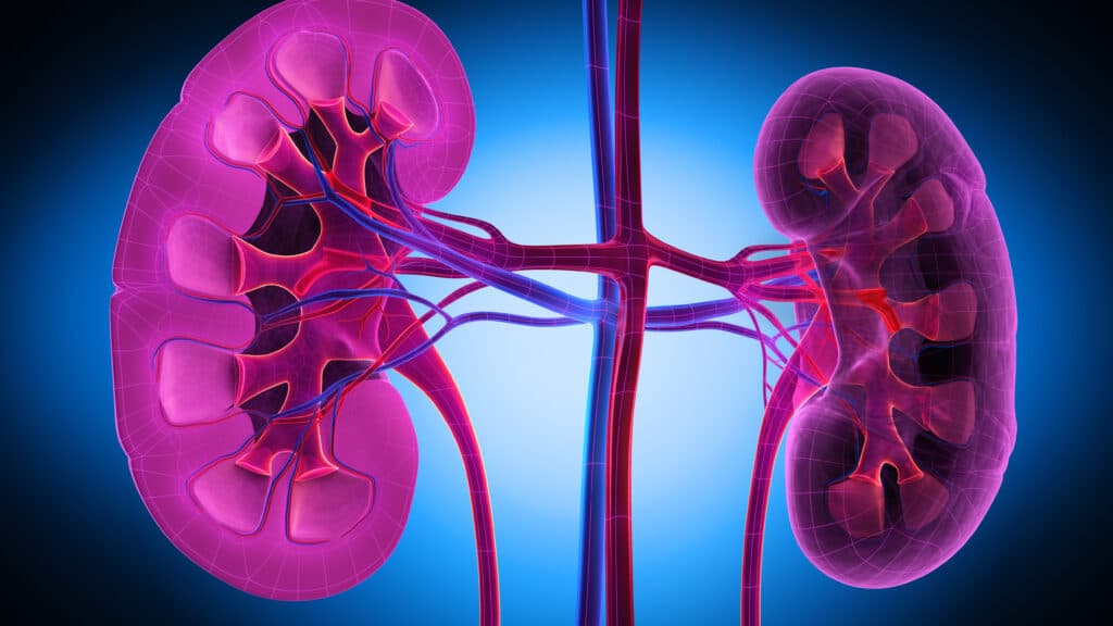 STAT+: FDA approves Vera Therapeutics kidney disease treatment