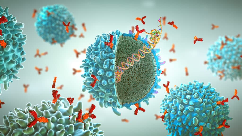Could we one day vaccinate against every cancer?
