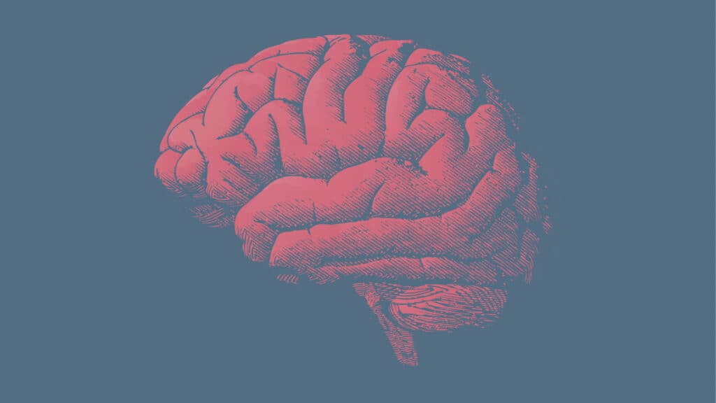 STAT+: Tau in the spotlight at Alzheimer’s conference