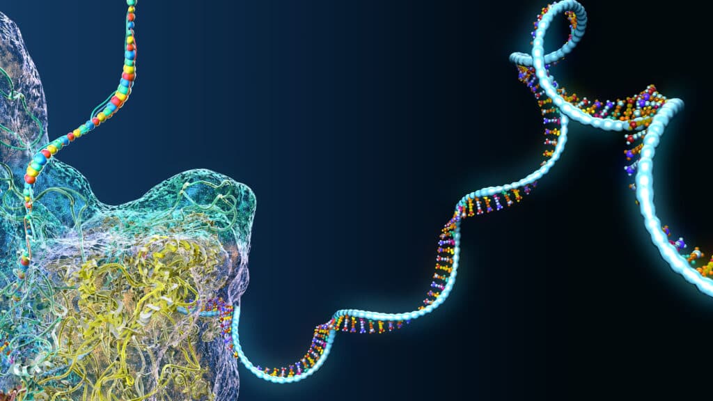 STAT+: ARPA-H funds biotechs working on custom RNA therapies