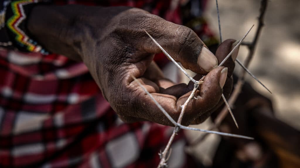 Opinion: Ten years after WHO recognition, mycetoma remains one of the world’s most neglected diseases