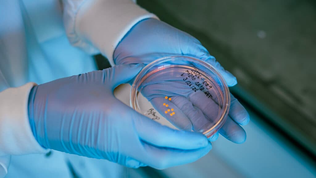 STAT+: Brain organoids, kept alive more than five years, matured like human brains